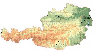 Verbreitung in Österreich (Quelle: ÖGH)