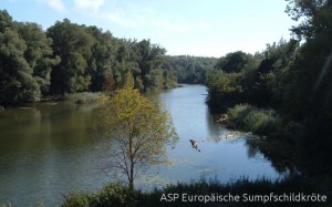 Ausgedehnte Wasserfläche