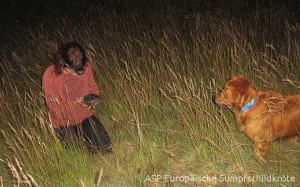 Einsatz des Schildkrötenspürhundes "Indi"